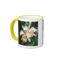 Orchids, orchids mugs by JLWinther Orchids, orchids mugs