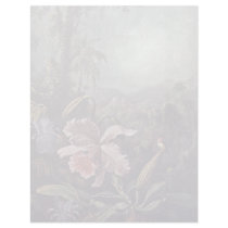 Orchids Passion Flowers And Hummingbirds By Martin Letterhead Design