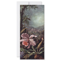 Orchids Passion Flowers And Hummingbirds By Martin Custom Rack Cards