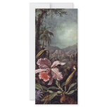 Orchids Passion Flowers And Hummingbirds By Martin rack cards