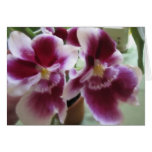 Orchid's Perfume Watercolor Card