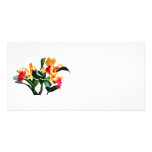 Orchids Persian Garden The Shah Photo Greeting Card