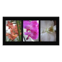 Orchids photocard
