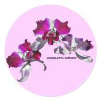 Orchids Pink stickers