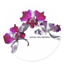 Orchids Pink stickers