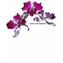 Orchids Pink t-shirts
