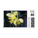 Orchids postage