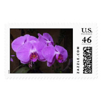 Orchids postage by JLWinther Orchids postage