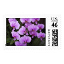 Orchids postage