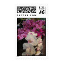 Orchids postage