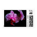 orchids postage by apocalyptic orchids postage