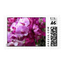orchids postage