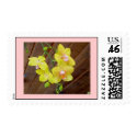 orchids postage