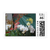 Orchids stamps