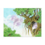 Orchids postcard