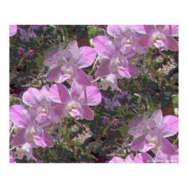 Orchids posters by DebraThackston Orchids posters
