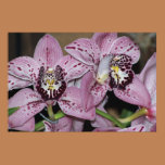 Orchids posters