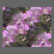 Orchids posters by DebraThackston Orchids posters