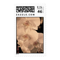 Orchids Stamp by isouz59 Orchids Stamp