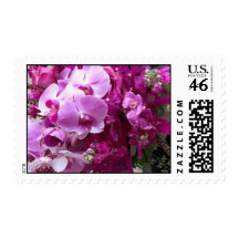 orchids stamps