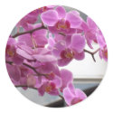Orchids stickers by amjon1 Orchids stickers