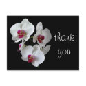 orchids: thank you! postcards