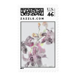 Orchids Wedding Postage Stamps stamp