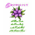 ORCHILILY T-SHIRT