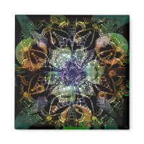 Order Out of Chaos magnets