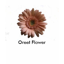 Oreet Flower t-shirts