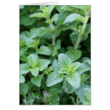Oregano wish card