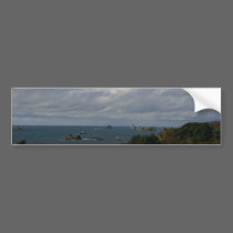 Oregon Coast bumper stickers