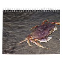 Oregon Coast Calendar by tinabeckphotography Oregon Coast Calendar