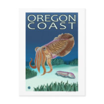 Oregon Coast Cuttlefish Postcard