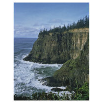 Oregon Coast flyers
