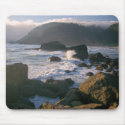 Oregon coast mousepads