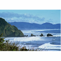 Oregon Coast photo sculptures