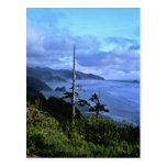 Oregon Coast Post Card