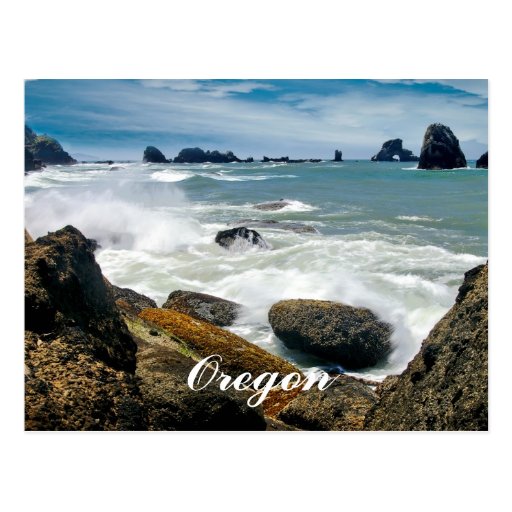 Oregon coast postcard | Zazzle