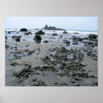 Oregon Coast Poster