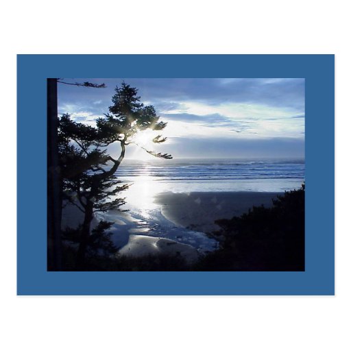 Oregon Coast Products Postcards