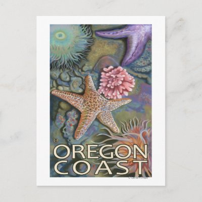 Oregon Coast Tidepool Post Card