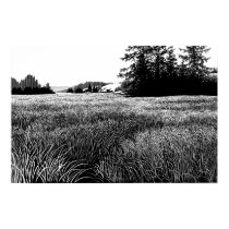 Oregon Coastal Marsh posters