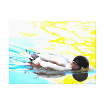 Oregon Duck Canvas Print