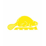oregon, state, flag, theme, 1859, symbol, design,