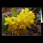 Oregon Grape Flowers Blank Card