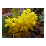 Oregon Grape Flowers Blank Card