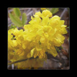 Oregon Grape Flowers Magnet