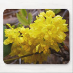 Oregon Grape Flowers Mousepad