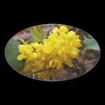 Oregon Grape Flowers Sticker